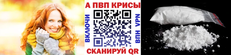 A-PVP СК Ачхой-Мартан