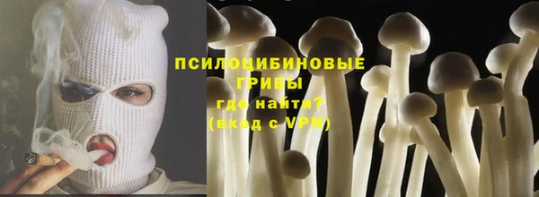 мдпв Кулебаки