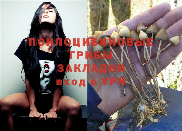 прущие крисы Кукмор