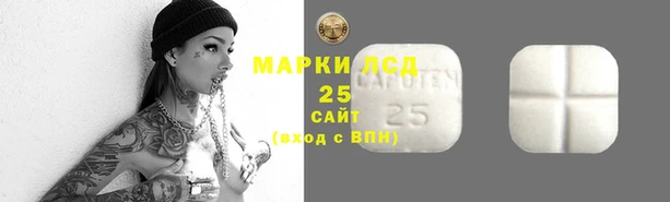 мдпв Кулебаки