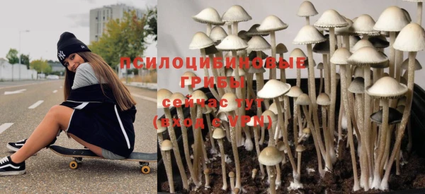 мдпв Кулебаки