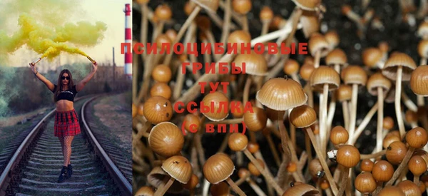 прущие крисы Кукмор