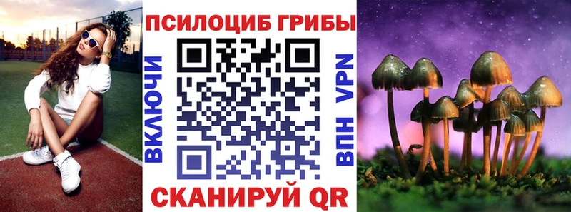 Псилоцибиновые грибы Cubensis omg ССЫЛКА Ачхой-Мартан даркнет сайт